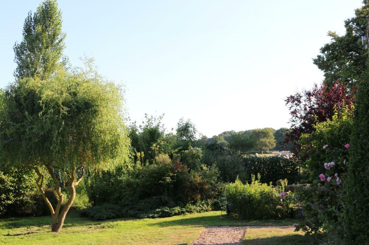 Le Bourgis Bed & Breakfast La Chapelle-Montligeon Exterior photo