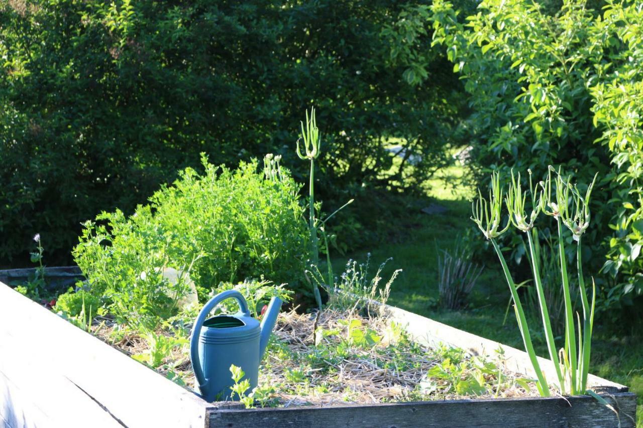 Le Bourgis Bed & Breakfast La Chapelle-Montligeon Exterior photo