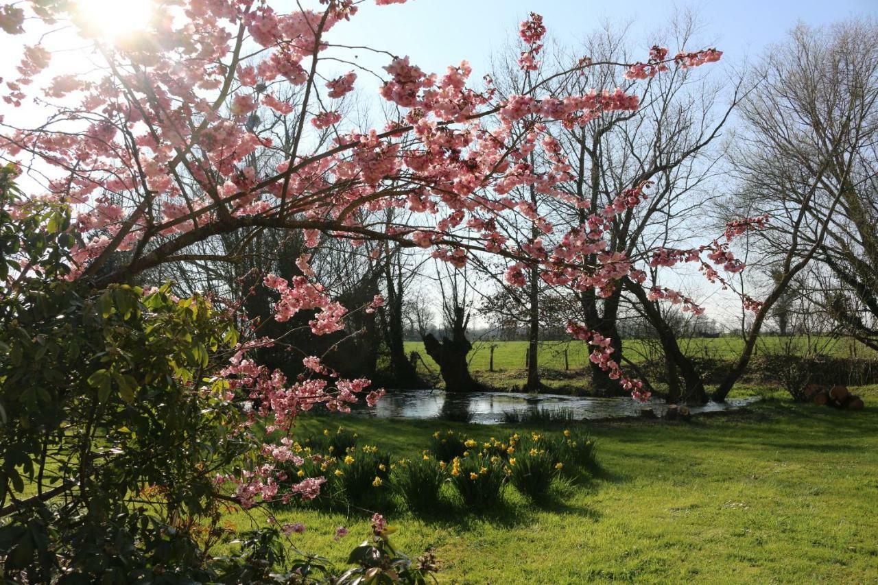 Le Bourgis Bed & Breakfast La Chapelle-Montligeon Exterior photo